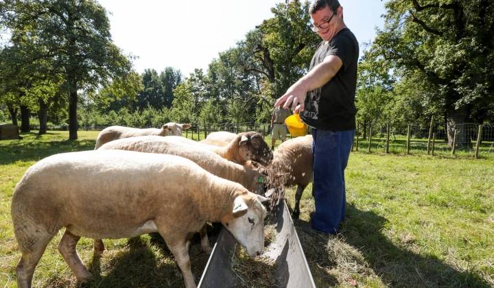 Boerderij Maasveld