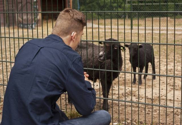 Boerderij Op de BIes - Koraal regio Parkstad - Participatie